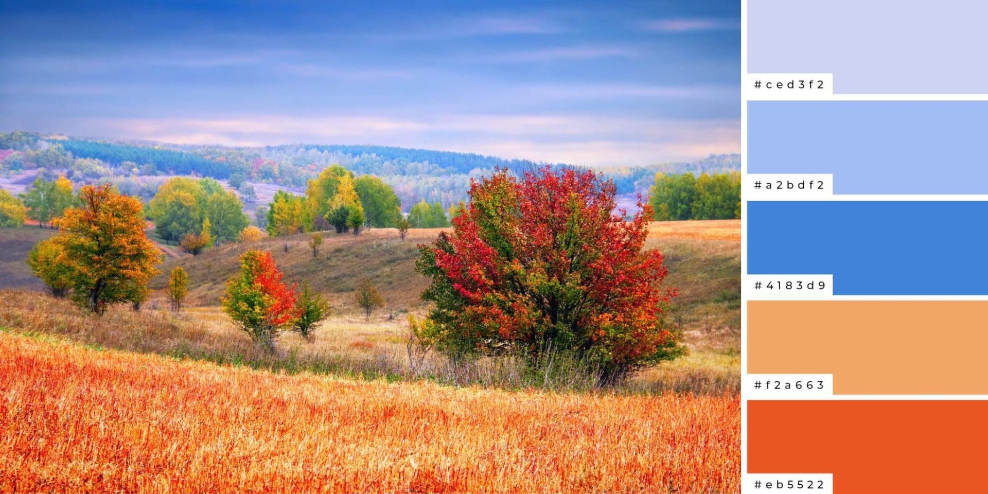beautiful colorful scenery color pallet